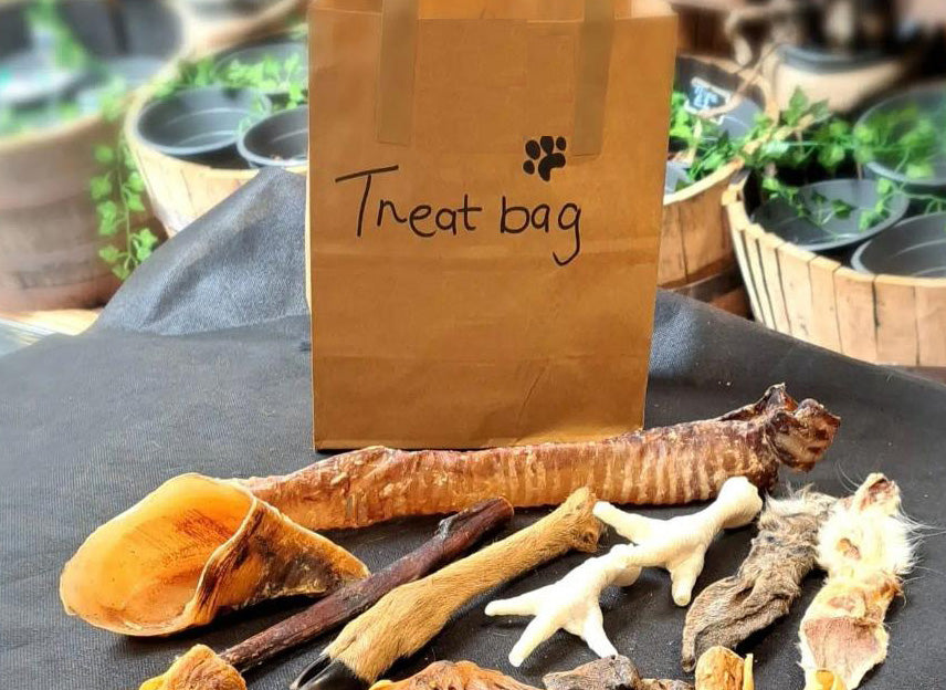 Natural dog treats and chews with simple ingredients