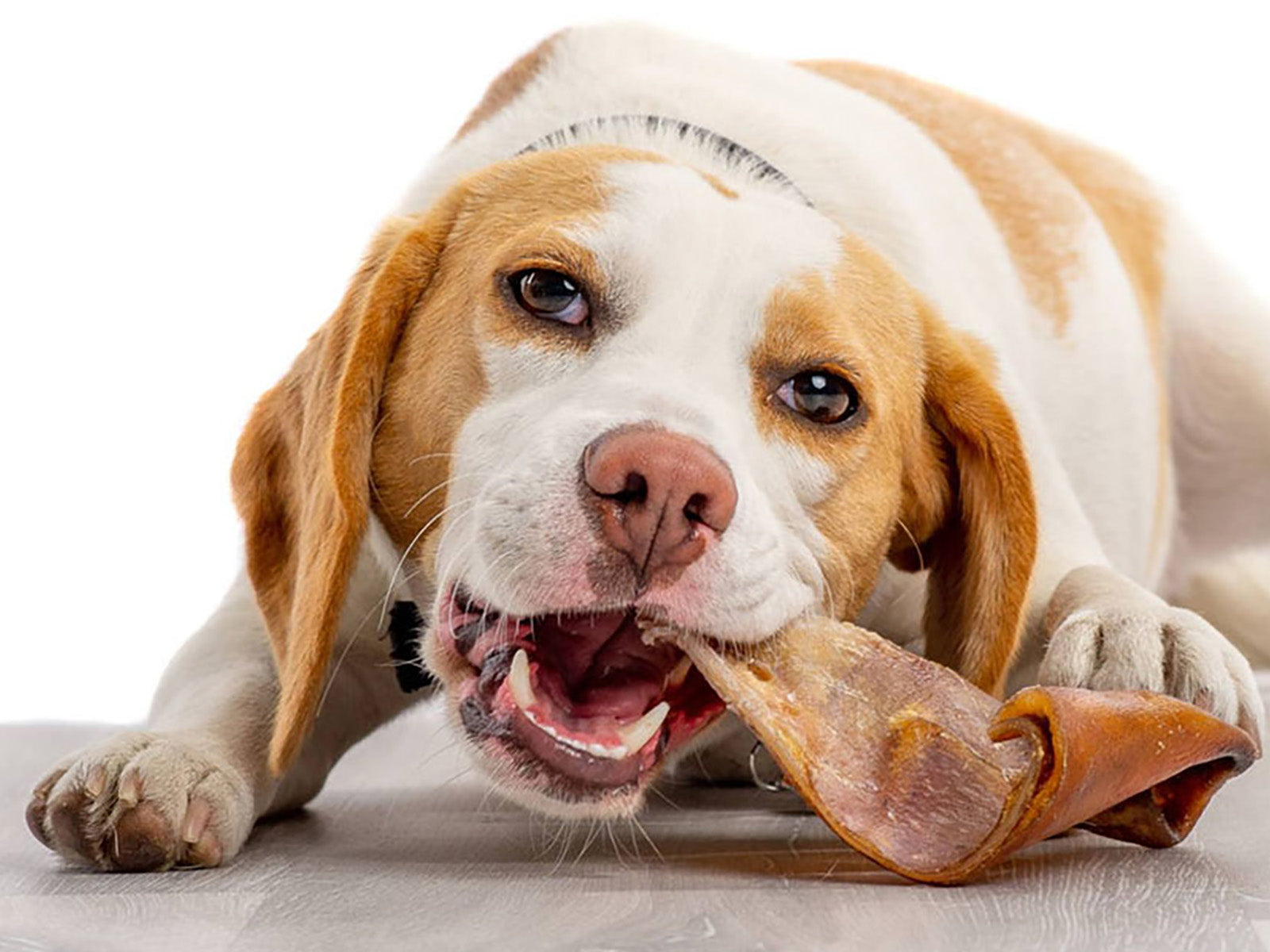 Natural dental dog treats from Fido's Tasty Treats to support chewing, teeth and gums