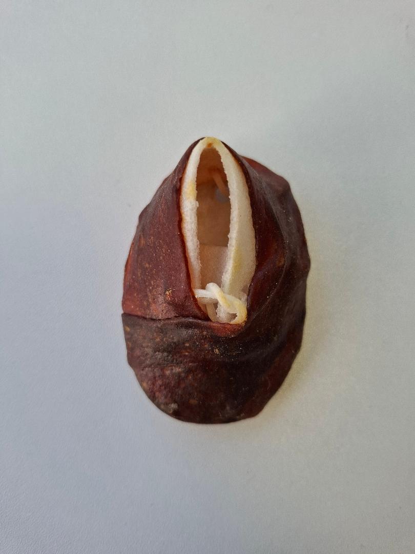 Duck & Beef Rawhide Shoes