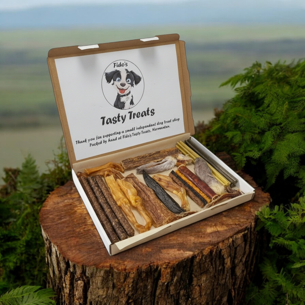 Fido’s Try Me Letterbox Treat Box with natural air-dried dog chews, ears, feet, sausages and dental sticks, packed in a cardboard box for UK delivery