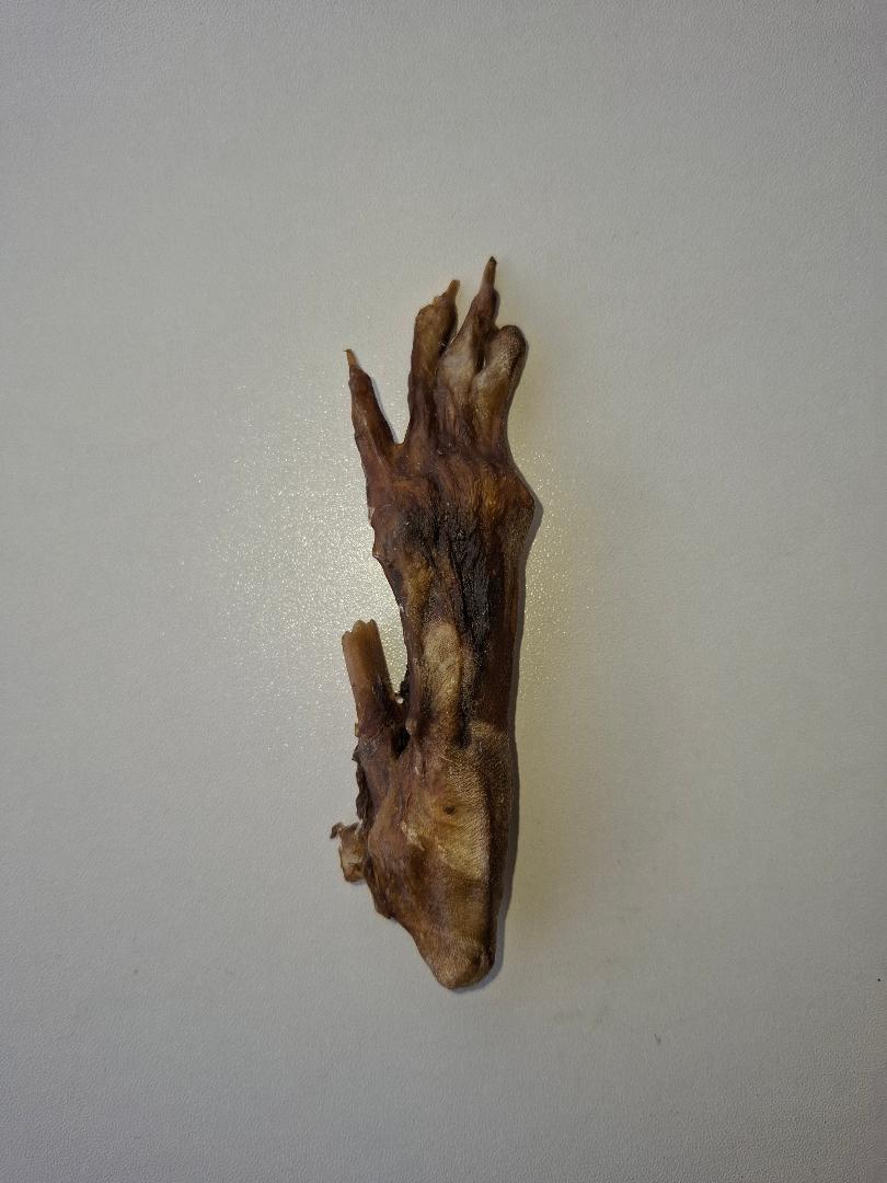 Natural Rabbit Foot natural dog treat from Fido's Tasty Treats