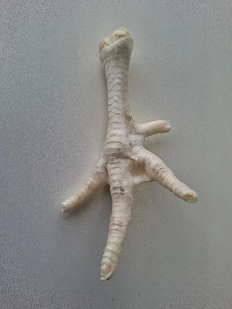 Puffed Chicken Foot