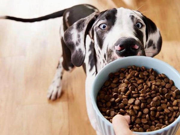 Fido’s dog wellness range in Normanton